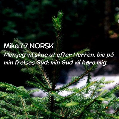 Picture 02 - Mika 7:7 NORSK - Men jeg vil skue ut efter Herren, bie på min - Bible Verse Picture