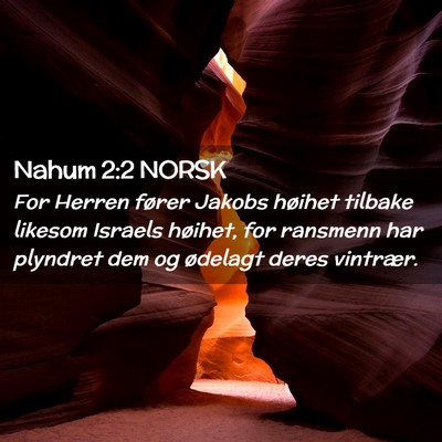 Picture 02 - Nahum 2:2 NORSK - For Herren fører Jakobs høihet tilbake likesom - Bible Verse Picture