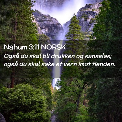 Picture 02 - Nahum 3:11 NORSK - Også du skal bli drukken og sanseløs; også du - Bible Verse Picture