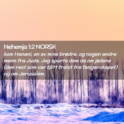 Picture 02 - Nehemja 1:2 NORSK - kom Hanani, en av mine brødre, og nogen andre - Bible Verse Picture