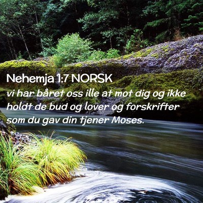 Picture 02 - Nehemja 1:7 NORSK - vi har båret oss ille at mot dig og ikke holdt - Bible Verse Picture