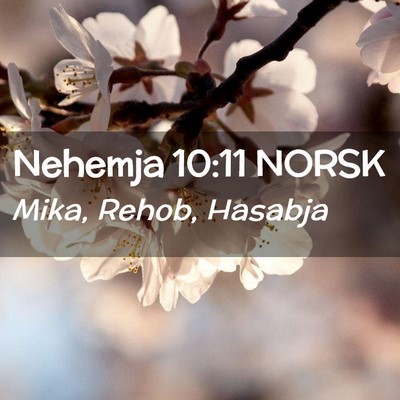 Picture 02 - Nehemja 10:11 NORSK - Mika, Rehob, - Bible Verse Picture