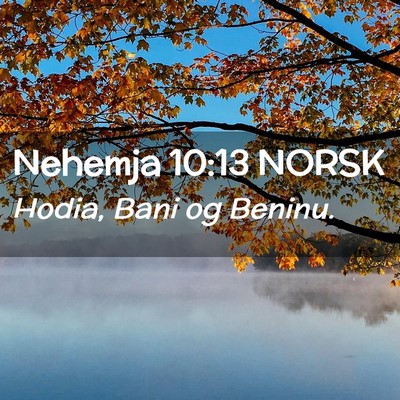 Picture 02 - Nehemja 10:13 NORSK - Hodia, Bani og - Bible Verse Picture