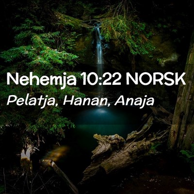 Picture 02 - Nehemja 10:22 NORSK - Pelatja, Hanan, - Bible Verse Picture