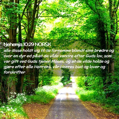 Picture 02 - Nehemja 10:29 NORSK - alle disse holdt sig til de fornemme blandt sine - Bible Verse Picture