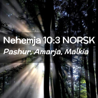 Picture 02 - Nehemja 10:3 NORSK - Pashur, Amarja, - Bible Verse Picture