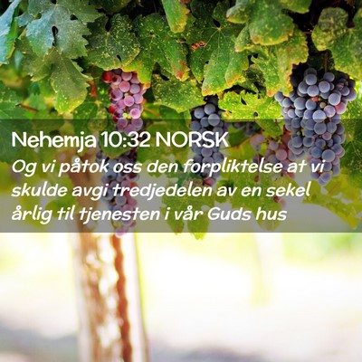 Picture 02 - Nehemja 10:32 NORSK - Og vi påtok oss den forpliktelse at vi skulde - Bible Verse Picture