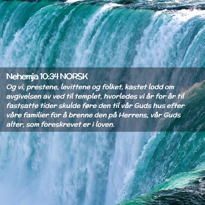 Picture 02 - Nehemja 10:34 NORSK - Og vi, prestene, levittene og folket, kastet lodd - Bible Verse Picture