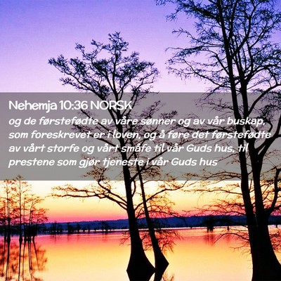 Picture 02 - Nehemja 10:36 NORSK - og de førstefødte av våre sønner og av vår - Bible Verse Picture
