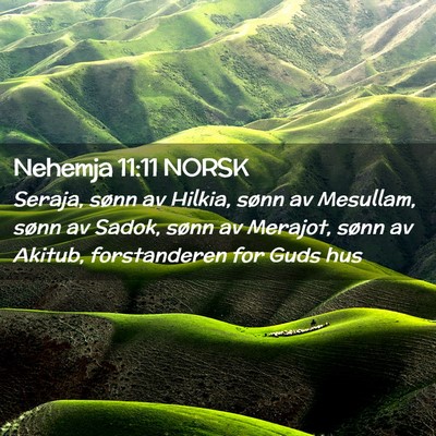 Picture 02 - Nehemja 11:11 NORSK - Seraja, sønn av Hilkia, sønn av Mesullam, sønn - Bible Verse Picture