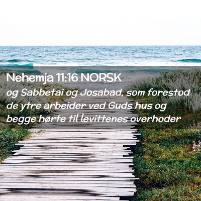 Picture 02 - Nehemja 11:16 NORSK - og Sabbetai og Josabad, som forestod de ytre - Bible Verse Picture
