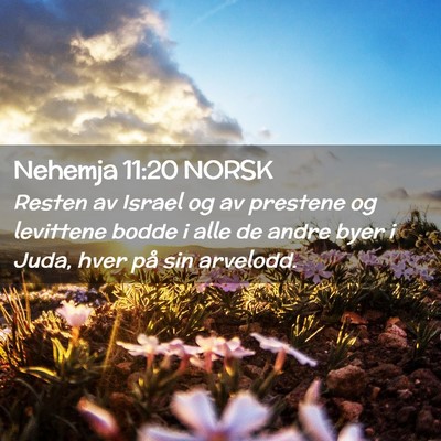 Picture 02 - Nehemja 11:20 NORSK - Resten av Israel og av prestene og levittene - Bible Verse Picture