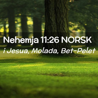 Picture 02 - Nehemja 11:26 NORSK - i Jesua, Molada, - Bible Verse Picture