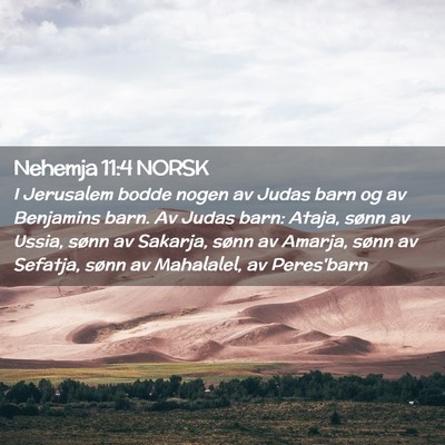 Picture 02 - Nehemja 11:4 NORSK - I Jerusalem bodde nogen av Judas barn og av - Bible Verse Picture