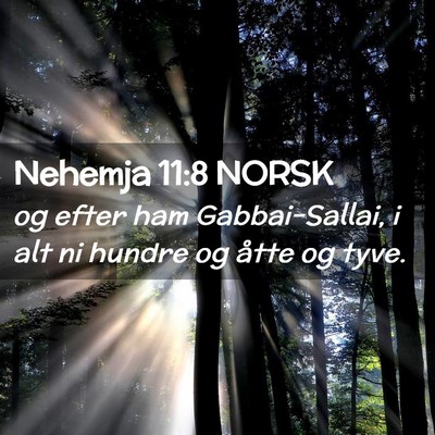 Picture 02 - Nehemja 11:8 NORSK - og efter ham Gabbai-Sallai, i alt ni hundre og - Bible Verse Picture
