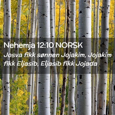 Picture 02 - Nehemja 12:10 NORSK - Josva fikk sønnen Jojakim, Jojakim fikk Eljasib, - Bible Verse Picture