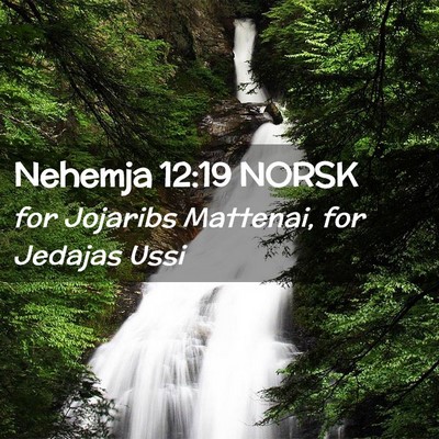 Picture 02 - Nehemja 12:19 NORSK - for Jojaribs Mattenai, for Jedajas - Bible Verse Picture