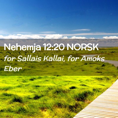 Picture 02 - Nehemja 12:20 NORSK - for Sallais Kallai, for Amoks - Bible Verse Picture