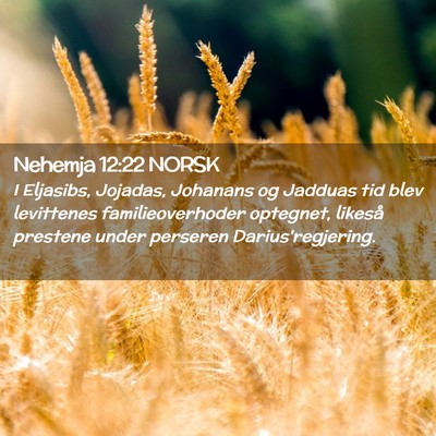 Picture 02 - Nehemja 12:22 NORSK - I Eljasibs, Jojadas, Johanans og Jadduas tid blev - Bible Verse Picture