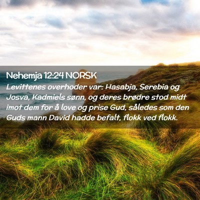 Picture 02 - Nehemja 12:24 NORSK - Levittenes overhoder var: Hasabja, Serebia og - Bible Verse Picture