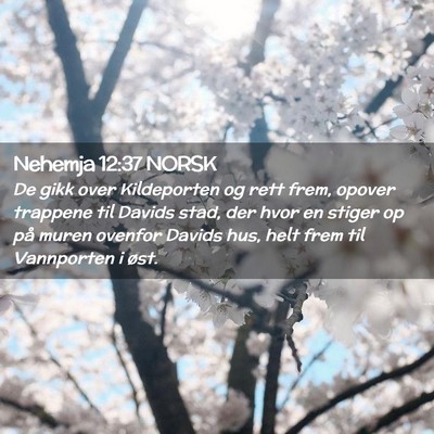 Picture 02 - Nehemja 12:37 NORSK - De gikk over Kildeporten og rett frem, opover - Bible Verse Picture