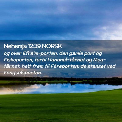 Picture 02 - Nehemja 12:39 NORSK - og over Efra'm-porten, den gamle port og - Bible Verse Picture