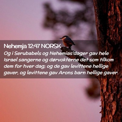 Picture 02 - Nehemja 12:47 NORSK - Og i Serubabels og Nehemias'dager gav hele Israel - Bible Verse Picture