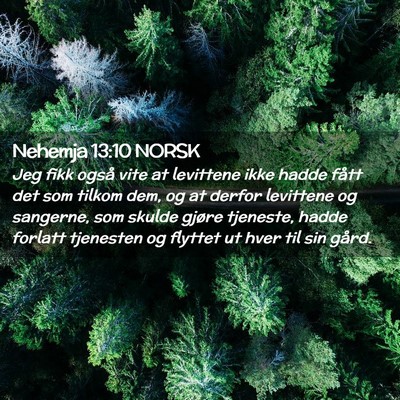 Picture 02 - Nehemja 13:10 NORSK - Jeg fikk også vite at levittene ikke hadde fått - Bible Verse Picture