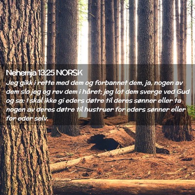 Picture 02 - Nehemja 13:25 NORSK - Jeg gikk i rette med dem og forbannet dem, ja, - Bible Verse Picture
