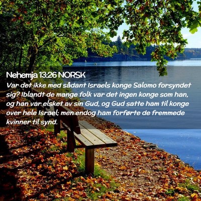 Picture 02 - Nehemja 13:26 NORSK - Var det ikke med sådant Israels konge Salomo - Bible Verse Picture