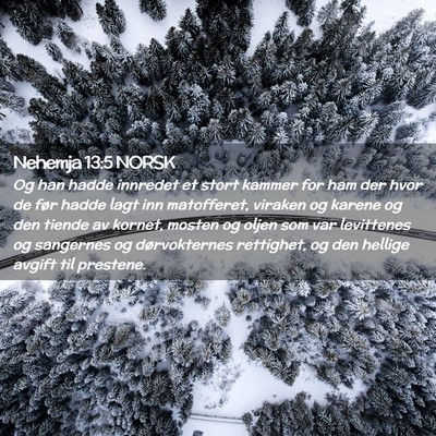 Picture 02 - Nehemja 13:5 NORSK - Og han hadde innredet et stort kammer for ham der - Bible Verse Picture