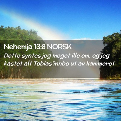Picture 02 - Nehemja 13:8 NORSK - Dette syntes jeg meget ille om, og jeg kastet alt - Bible Verse Picture
