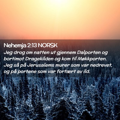 Picture 02 - Nehemja 2:13 NORSK - Jeg drog om natten ut gjennem Dalporten og - Bible Verse Picture