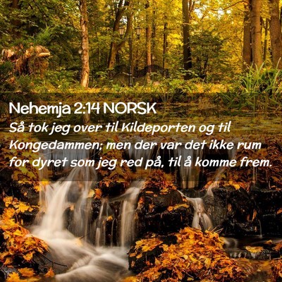 Picture 02 - Nehemja 2:14 NORSK - Så tok jeg over til Kildeporten og til - Bible Verse Picture