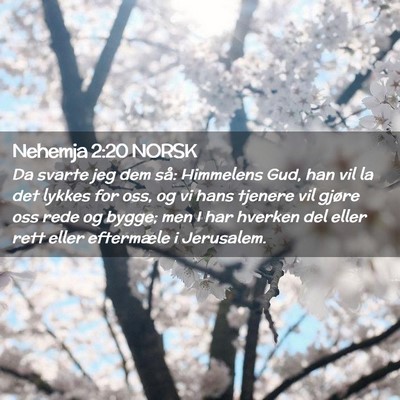 Picture 02 - Nehemja 2:20 NORSK - Da svarte jeg dem så: Himmelens Gud, han vil la - Bible Verse Picture