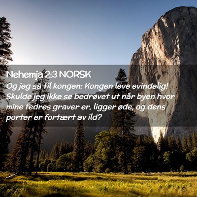 Picture 02 - Nehemja 2:3 NORSK - Og jeg sa til kongen: Kongen leve evindelig! - Bible Verse Picture