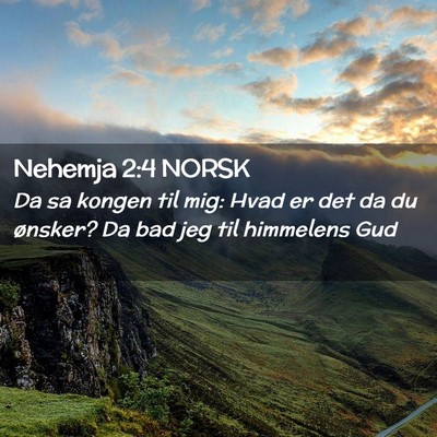 Picture 02 - Nehemja 2:4 NORSK - Da sa kongen til mig: Hvad er det da du ønsker? - Bible Verse Picture