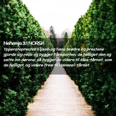 Picture 02 - Nehemja 3:1 NORSK - Ypperstepresten Eljasib og hans brødre og - Bible Verse Picture