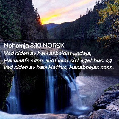 Picture 02 - Nehemja 3:10 NORSK - Ved siden av ham arbeidet Jedaja, Harumafs sønn, - Bible Verse Picture