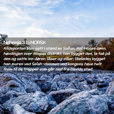 Picture 02 - Nehemja 3:15 NORSK - Kildeporten blev satt i stand av Sallun, - Bible Verse Picture
