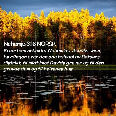 Picture 02 - Nehemja 3:16 NORSK - Efter ham arbeidet Nehemias, Asbuks sønn, - Bible Verse Picture