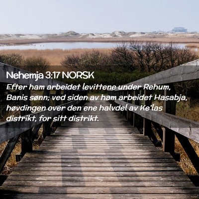 Picture 02 - Nehemja 3:17 NORSK - Efter ham arbeidet levittene under Rehum, Banis - Bible Verse Picture