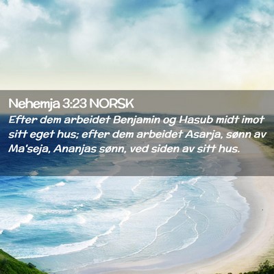 Picture 02 - Nehemja 3:23 NORSK - Efter dem arbeidet Benjamin og Hasub midt imot - Bible Verse Picture
