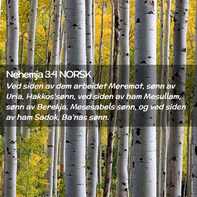 Picture 02 - Nehemja 3:4 NORSK - Ved siden av dem arbeidet Meremot, sønn av Uria, - Bible Verse Picture