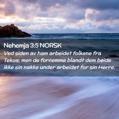 Picture 02 - Nehemja 3:5 NORSK - Ved siden av ham arbeidet folkene fra Tekoa; men - Bible Verse Picture