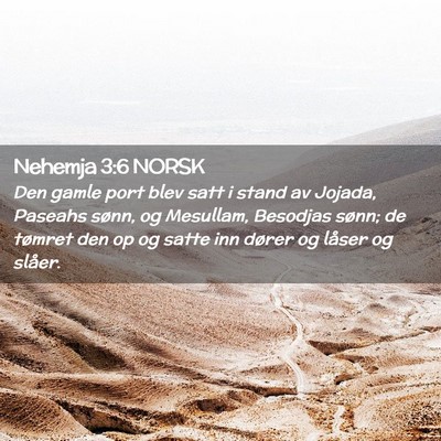 Picture 02 - Nehemja 3:6 NORSK - Den gamle port blev satt i stand av Jojada, - Bible Verse Picture