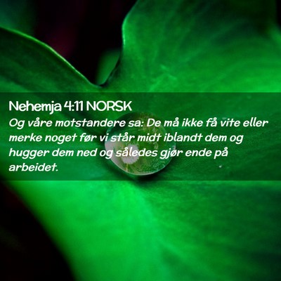 Picture 02 - Nehemja 4:11 NORSK - Og våre motstandere sa: De må ikke få vite - Bible Verse Picture
