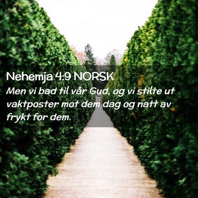 Picture 02 - Nehemja 4:9 NORSK - Men vi bad til vår Gud, og vi stilte ut - Bible Verse Picture
