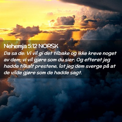 Picture 02 - Nehemja 5:12 NORSK - Da sa de: Vi vil gi det tilbake og ikke kreve - Bible Verse Picture