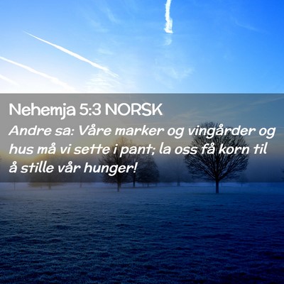 Picture 02 - Nehemja 5:3 NORSK - Andre sa: Våre marker og vingårder og hus må - Bible Verse Picture